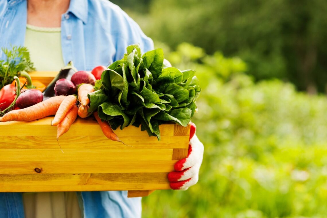 make food healthy again