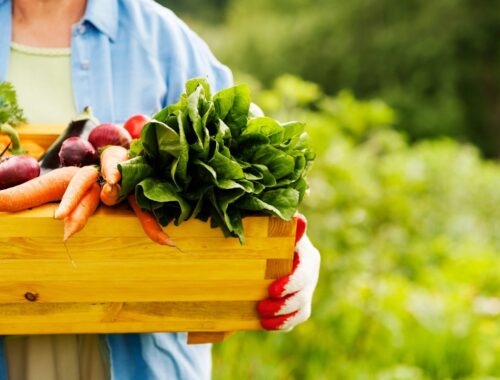 make food healthy again