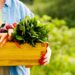 make food healthy again